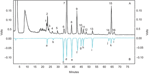 Figure 3.  Comparison between representative fingerprints (A) and mixture of standards (B) [column: Phenomenex C18 column (5 µm, 250 × 4.6 mm); detector: ELSD]. a: Uttroside B, b: solanigroside J, c: 5α-pregn-16-en-3β-ol-20-one lycotetraoside, d: linolic acid, e: palmitic acid, f: oleic acid, g: solasonine, h: solamargine, i: β2-solamargine, j: nigrumnin I, k: degalactotigonin; l: igogenin 3-O-β-[d-glucopyranosyl-(1→2)-O-[β-d-glucopyranosyl-(1→3)]-O-β-d-glucopyranosyl-(1→4)-O-β-d-galactopyranoside.