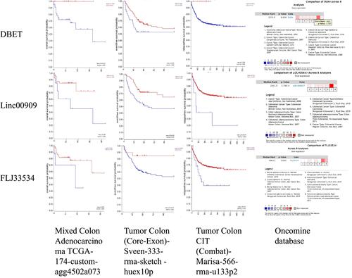 Figure 8 Verified the three lncRNAs in the R2 platform and Oncomine database. High expression of the DBET, LINC00909, and FLJ33534 were associated with worse prognosis in the TCGA, Sveen, and Marisa datasets in the R2 platform (all P < 0.05). Moreover, the DBET, LINC00909, and FLJ33534 were higher expression in the CRC cancer tissues compared with adjutant-cancerous tissues by eight datasets meat-analysis in Oncomine database.