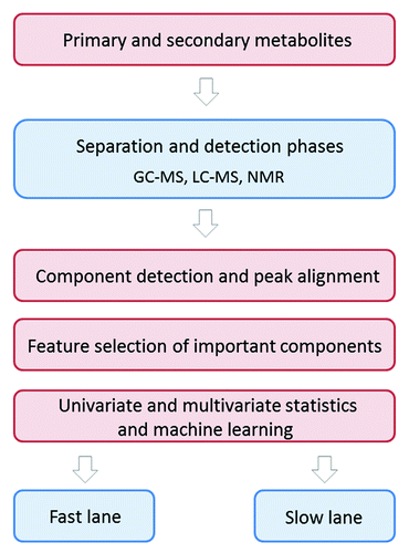 Figure 2. Comprehensive small molecule biomarker detection in urine. Algorithm describing the metabolomic approaches for biomarker identification using complementary analytical techniques covering the whole metabolome or small molecule space. GC-MS: gas chromatography–mass spectrometry, LC-MS: liquid chromatography–mass spectrometry, NMR: nuclear magnetic resonance