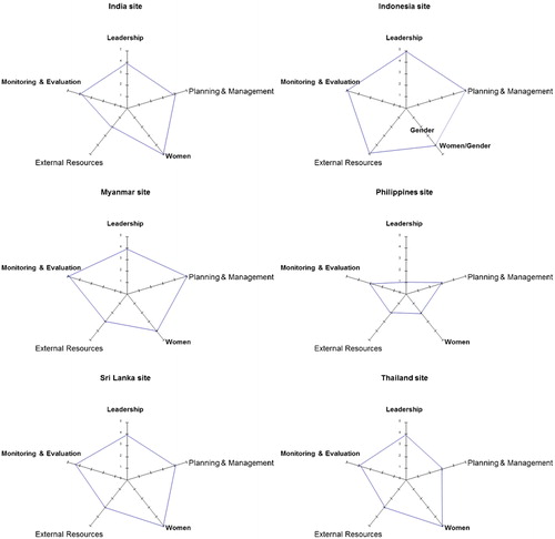 Figure 2. Spidergrams assessing five indicators of community participation for each research site.