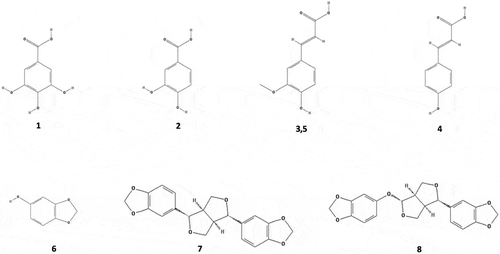 Figure 2. Chemical structure of phenolic compounds identified in sesame bran. Gallic acid (1), protocatechuic acid (2), ferulic acid derivative (3), p-coumaric acid (4), ferulic acid (5), sesamol (6), sesamin (7) and sesamolin (8). The numbering corresponds to the peak number assigned in Table 3.Figura 2. Estructura química de los compuestos fenólicos identificados en salvado de ajonjolí. Ácido gálico (1), ácido protocatecúico (2), derivado de ácido ferúlico (3), ácido p-cumárico (4), ácido ferúlico (5), sesamol (6), sesamina (7), sesamolina (8). El número corresponde a número de pico asignado en la Tabla 3.