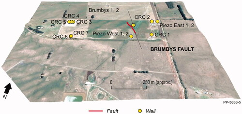 Figure 4. View northwards of CO2CRC Otway site adjoining a prominent dune system. The Otway site has a terrain of subtle swale features aligned northeast. South of the dune system features of similar alignment have exaggerated relief suggestive of karst enhancement on the Port Campbell Limestone, probably due to erosional loss of the capping Hesse Clay. LIDAR image. Note that regional seismic suggests that Brumbys Fault is ∼1.2 km long and only the portion imaged using high-resolution seismic (top of Port Campbell Limestone) is shown here.