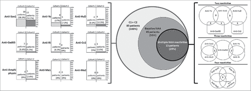 Figure 1. Neuronal autoantibodies prevalence in patients with SCLC. On the left, percentage and absolute numbers of neuronal autoantibody detected at baseline in each cohort. In the center, Benn's diagrams illustrating the different NAA multi reactivities in patients from both cohorts. On the right we show the combination of NAA with 2, 3 or 4 reactivities. Numbers at the intersection of Benn's diagrams are number of patients with that combination.