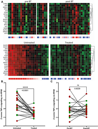 Figure 2 Differentially expressed gene sets before and after BT treatment. (A) (upper panel: baseline (pre BT) versus after treatment (post BT)). Heatmaps of inflammatory genes for bronchial epithelial cells showing a non-significant difference between the baseline (pre BT) and treated airways (post BT). (A) (lower panel: untreated versus treated (after treatment)). Heatmaps of inflammatory genes for bronchial epithelial cells after BT showing a significant downregulation of the treated lobe compared to the untreated middle lobe. (B) (After treatment). Z-scores from heatmaps showing a significant difference between untreated middle lobe and treated lobes after BT (p<0.0001 = ****). There were no significant differences between responders (green dots) and non-responders (red dots). (C) (baseline versus after treatment). Z-scores from heatmaps showing a non-significant difference between the baseline (pre-BT) and treated airways (post-BT).