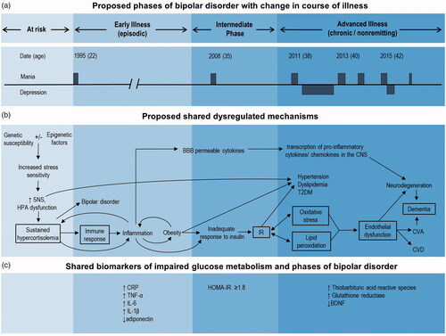 Figure 1. Proposed progression of bipolar disorder and metabolic dysregulation. BBB: blood-brain barrier; BDNF: brain-derived neurotrophic factor; CNS: central nervous system; CRP: C-reactive protein; CVA: cerebrovascular accident; CVD: cardiovascular disease; HOMA-IR: Homeostatic Model Assessment – Insulin Resistance; HPA: hypothalamic pituitary adrenal; IL: interleukin; IR: insulin resistance; SNS: sympathetic nervous system; TNF: tumor necrosis factor; T2DM: type 2 diabetes mellitus