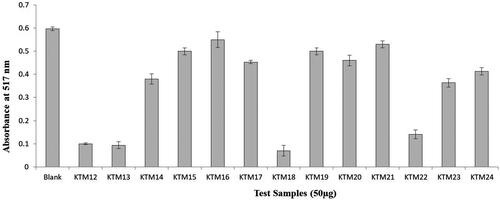 Figure 1. DPPH free radical scavenging activity of seven days old culture broth extract (50 µg) of KTM12–KTM24.