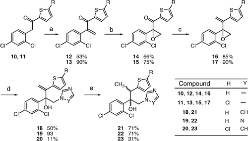 Scheme 3 Synthesis of compounds 12–23. Reaction conditions: (a) (CH3)2NCH2N(CH3)2, Ac2O; (b) H2O2.urea, DBU, THF; (c) (C6H5)3PCH3. Br, BuLi, THF, 0°C; (d) imidazole or triazole, K2CO3, DMF 80°C; (e) H2, Pd/C, ethanol.