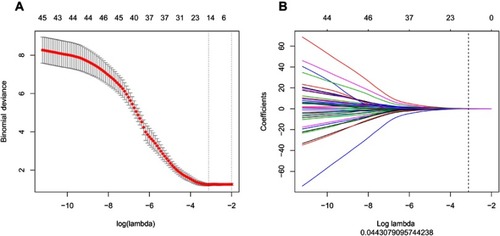 Figure 2 (A and B) The least absolute shrinkage and selection operator (LASSO) binary logistic regression model for feature selection. The features retained in the previous step were introduced into the LASSO regression model. First, a 10-fold cross-validation method was used to screen the LASSO regression model hyperparameter (λ) and select the model with the smallest error (λ). The retention (not equal to 0) was used to calculate the rad-score, which represents the sum of the product of the feature and the corresponding coefficient. Receiver operating characteristic analysis was used to discriminate the ability of the rad-score to identify invasive and non-invasive adenocarcinoma in the training and validation sets.