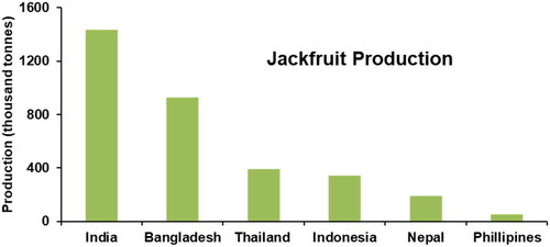 Figure 1. Major jackfruit-producing countries in the world (Sawe Citation2017).