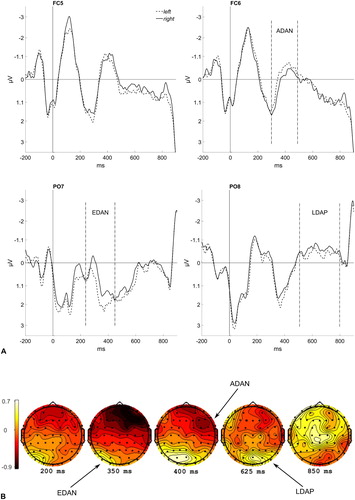 Figure 9. (A) This figure shows event-related potentials (ERPs) elicited by the centrally presented masked cue word, depending on its identity: cue word left (dashed line), cue word right (solid line). Electrodes of the left hemisphere are depicted on the left (upper panel: FC5; lower panel: PO7). Electrodes of the right hemisphere are depicted on the right (upper panel: FC6; lower panel: PO8). Data are averaged across steps of the nonsignificant variable Block. The anterior directing-attention negativity (ADAN) can be seen between 300 and 500 ms (FC6), the early directing-attention negativity (EDAN) between 250 and 450 ms (PO7) and the late attention-directing positivity (LDAP) between 500 and 800 ms (PO8). (B) Scalp distribution maps showing the difference between brain activity for the cue/prime word left and right at selected time points.