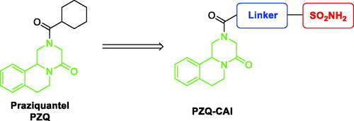 Figure 1. General structure of novel hybrid PZQ-CAI.