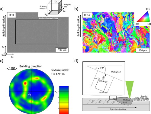 Figure 8. Microstructure analysis via EBSD of an additively manufactured CuCr1Zr sample showing (a) the measured microstructure, (b) the corresponding IPF-map in building direction, and (c) the pole figure illustrating an angle deviation of the <100> texture of 23°.