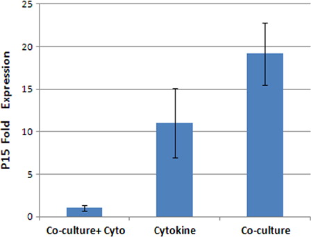 Figure 6. p15 mRNA expression fold change ratio in the expanded cells to the fresh CD34+ cells at the cytokine culture with and without MSCs and co-culture system without cytokine (P < 0.01).