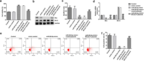 Figure 7. miR-383-5p improves the viability and decreases the apoptosis of cells by downregulating BCL2L11 expression levels. (a) MTT assay to detect cell viability. (b) Bax and Bcl-2 protein expression levels were determined via western blotting analysis. (c) The ratio of Bax/Bcl-2 is shown. (d) qRT-PCR assay was used to determine Bax and Bcl-2 mRNA expression levels. (e) FCM assay was performed to detect cell apoptosis. (f) Apoptosis rate of HUVECs.