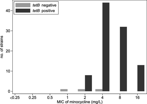 Figure 1 Distribution of minocycline minimum inhibitory concentrations (MICs) of the 100 carbapenem-resistant Acinetobacter baumannii strains.
