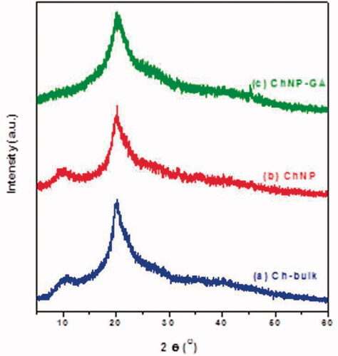 Figure 2. The X-ray diffraction patterns of (a) Ch-bulk, (b) ChNP and (c) ChNP-GA: First crystalline peaks of Ch-bulk and ChNP was found to be around 2θ of 10.33° and 9.94°, respectively. The main peak for Ch-bulk was at 20.53° with d = 4.32 Å, while for ChNP it was 20.02° and d = 4.43 Å. ChNP-GA showed the peak of chitosan that around 10° completely disappeared.
