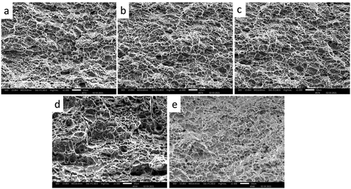 Figure 2. SEM micrographs of the fractured surface showing the ductile behavior of all the samples (a) LPG-C1 (b) LPG-C2, (c) LPG-C3, (d) LPG-C4 and (e) LPG-C5.