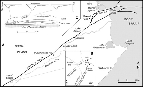 Figure 8 A, Map showing Awatere and Vernon faults, northeast Marlborough (after Begg & Johnston Citation2000) and localities described in the text; B, map; and C, map and sections of ‘recent’ fissures developed along the surface trace of the Awatere Fault near Upcot Saddle that may have formed in 1855, 1848 or both (unpublished survey by R. Grapes, 1997).