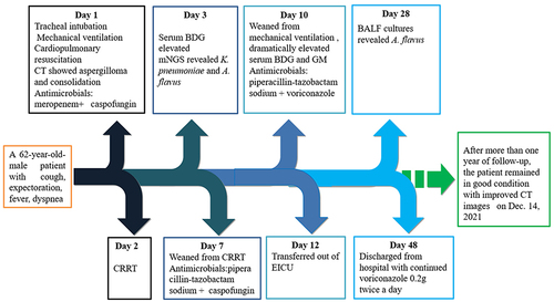 Figure 3 Treatment timeline of the reported case.