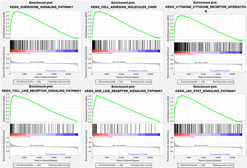 Figure 4 Gene set enriched in chemokine signaling pathway (FDR < 0.001, NES = 2.42, adj. p-value < 0.001), gene set enriched in cell adhesion molecules cams (FDR < 0.001, NES =2.29, adj. p-value < 0.001), gene set enriched in cytokine-cytokine receptor interaction (FDR < 0.001, NES = 2.51, adj. p-value < 0.001), gene set enriched in TOLL like receptor signaling pathway (FDR < 0.001, NES = 2.42, adj. p-value < 0.001), gene set enriched in NOD-like receptor signaling pathway (FDR < 0.001, NES = 2.40, adj. p-value < 0.001), gene set enriched in JAK-STAT signaling pathway (FDR < 0.001, NES = 2.18, adj. p-value < 0.001). Screening criteria for significant gene sets included adj. p-value < 0.05 and FDR < 0.25.