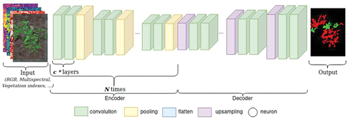 Figure 4c. General architecture of a CNN for image segmentation. In this case, the task is weed detection. Each pixel in the output image is classified as weeds (red), crops (green), or soil (black). Segmentation relies on an encoder-decoder architecture where all the layers are fully convolutional. Figure 4. Three types of architectures of CNNs, with an example of each. The input images can be RGB, multispectral, vegetation indexes, or a combination of these.The output and overall architecture varies depending on the problem.