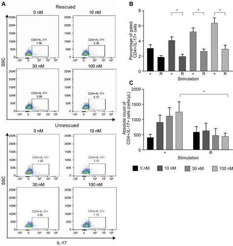 Figure 6 Excess IL-4 and IFN-γ prevent the increase of Th17-like cells induced by nintedanib. Flow cytometry analyses of CD4+ T cells in CD3+ T-cell culture from healthy donors pretreated for 20 min with or without nintedanib at 10, 30 and 100 nM and stimulated for 24 hours with αCD3/αCD28, rhIL-4, with (rescued) or without (unrescued) rhIFN-γ and IL-2. (A) FACS dot plots show one representative experiment of CD4+ gated, IL-17+ cells. (B) Percentage and (C) total number of CD4+IL-17+ T cells in total CD3+ T-cell culture (n=4-6). Bars represent mean values ± standard deviation, *P<0.05. + = unrescued, R = rescued.