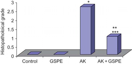 Figure 3. Comparison of histopathological grades between the study groups. Notes: *AK versus control, p = 0.001. **AK + GSPE versus control, p = 0.022. ***AK versus AK + GSPE, p = 0012.