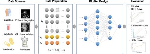 Figure 1 Overview of study design and the architecture of BLeNet model. Input data included TAVR patients’ baseline characteristics, lab tests, CT characteristics, echocardiographic features, procedural details and antithrombotic medications. After data preparation, each patient information was summarized as a triplet value , where indicates the vector containing the clinical features of the patient (grey dots), indicates the outcome event (yellow dots), indicates the time when patient encountered MLBCs or became censored (Orange dots). The diagonal striated grey dots indicate the missing data. The BLeNet model has a hierarchical structure of an input layer, two fully connected feed-forward hidden layers and an output layer with one neuron to estimate the risk index. We evaluated the model’s performance using optimism-adjusted c-index, ROC curve, calibration curve and K-M curve.