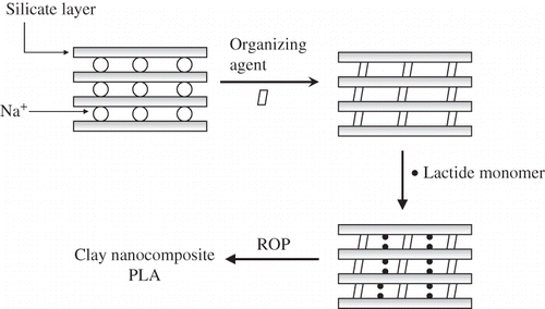 Figure 11 Nanoclay-PLA synthesis schematic diagram.