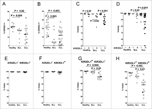 Figure 3. Reduced expression of inhibitory KIR on NK cells in CLL patients is associated with reduced viability of KIR+ cells. Viable CD45+CD3−CD56dim NK cells from PBMC of the different donor groups were analyzed by flow cytometry for fraction of cells expressing KIR2DL1 (A) or KIR3DL1 (B). Viability was determined in CD56dim NK cells expressing (+, filled icons) or lacking (-, open icons) KIR2DL1 (C) or KIR3DL1 (D). (E–H) Percentage viability of subsets of CD45+CD3−CD56dim NK cells with the indicated KIR2DL1 and KIR3DL1 expression profiles was analyzed by flow cytometry. The viability of NK cells in each quadrant was determined by propidium iodide staining. Data from healthy donors are displayed as circles, SLL patients as diamonds, and CLL patients as squares. Only donors confirmed by genotyping to express the indicated KIR were included in these panels. Horizontal lines indicate median values and statistics were calculated with an unpaired Wilcoxon rank-sum test. Filled icons are from monozygotic twins in panels A, B, and E-H.