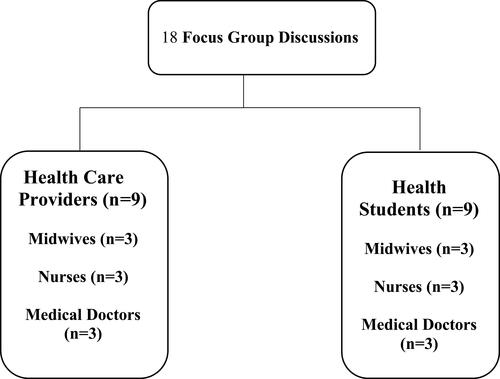 Figure 1 Distribution of focus groups among students and health professionals.