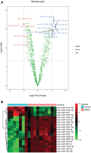 Figure 1 The volcano plot and heat map of all differentially expressed miRNAs in osteonecrosis of the femoral head. (A) The volcano plot of all differentially expressed miRNAs. The X and Y axis represents Log2 Fold Change and –log10 FDR, respectively. Blue and red represents up-regulated and down-regulated miRNAs, respectively. (B) The heat map of all differentially expressed miRNAs.