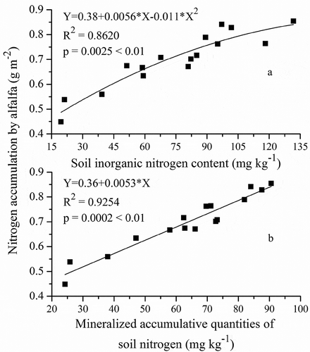 Figure 3. Correlation between soil inorganic nitrogen content (a), mineralized accumulative quantities of soil nitrogen (b) and the accumulation of nitrogen by alfalfa (n= 16).