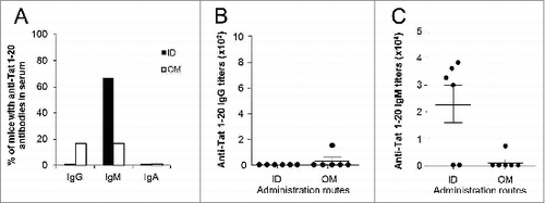 Figure 4. Characterization of anti-Tat 1–20 peptide humoral responses in sera. Serum samples of mice immunized 3 times ID or OM with the Tat 1–20 peptide (7μg) were collected at day 42 and the presence of anti-Tat 1–20 peptide IgG, IgM and IgA was evaluated by Elisa test (plates were coated with Tat 1–20 peptide at the dose of 100ng/200μl/well). (A) Proportion of mice that developed serum anti-Tat 1–20 peptide IgG, IgM and IgA. Frequencies of anti-Tat 1–20 peptide positive mice were compared among different groups using 2-tailed Fisher's exact test. Anti-Tat 1–20 peptide positivity was determined by titers >100, 50 and 25 for IgG, IgM and IgA respectively. (B) Titers of serum anti-Tat 1–20 peptide IgG. (C) Titers of serum anti-Tat 1–20 peptide IgM. Results of 2 independent experiments are shown. Dots represent single mice and lines represent the means +/− SEM.