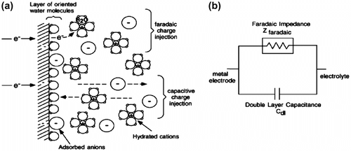 Figure 1 Electrode and electrolyte interface showing faradaic charge injection and capacitive charge injection (a), and a two-element electrical circuit model of electrode/electrolyte interface (b). Note: Reprinted by permission of Merrill et al. (Citation2005).