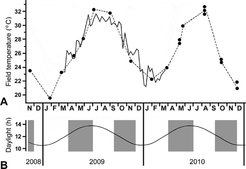 Figure 6. Environmental conditions at collection site. A, seawater temperature measured individually on days of collection (filled circles connected by dashed line) or measured every 2 h for a year by a HOBO pendant logger (solid line, presented as moving averages over 15-day intervals); B, annual fluctuation in day length; shaded areas indicate times of year when spawnings of A. lucayanum take place near new moon dates.