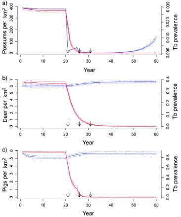 Figure 1. Predicted animal population density (blue lines) and proportional prevalence of tuberculosis (TB; red lines) from a three-host model in a forest habitat, with simulated possum control imposed at 21, 26 and 31 years for a) possum, b) deer, and c) pig populations. Solid lines are the median values and dotted lines are the 2.5 and 97.5 percentiles of model simulations. Arrows indicate the timing of possum-control operations.