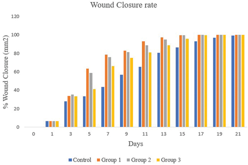 Figure 10. Wound area closure analysis of wistar rats, on treatment with Annona muricata bio extract.
