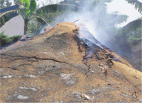 Figure 1. Rice husk burning.