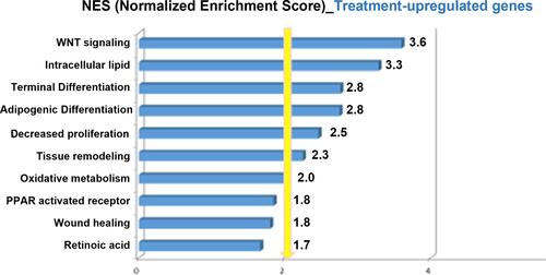 Figure 3 Functional annotation of upregulated genes by PredictSearch® software and ranking of the biological terms according to NES. For each biological term, a normalized enrichment score (NES) was calculated as the ratio between the enrichment of the selected term among the set of genes found modulated and among the randomly selected genes. This enrichment was deduced from 157 annotated induced genes and 60 annotated repressed genes in response to treatment at months 1 and 3. Only scores greater than or equal to 2 were considered significant.