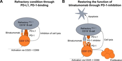 Figure 2 PD-L1 expression is a possible escape mechanism for the action of blinatumomab.