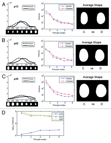 Figure 6. Changes in nuclear shape in cells from HGPS patients with increasing passage. Shapes of HGPS nuclei were compared for multiple passages. For each passage, the distribution of nuclei in the first mode, variances of the first 8 modes, and average shapes of control and disease groups are shown, respectively. The nuclear images are to scale. (A) At early passage (p13), there was some variation between the control (C) and disease (D) group. (B) At passage 22, the difference became larger. (C) At late passage (p30) there were still differences between control and disease, but the control cell nuclei began to show greater cell-to-cell variability. (D) The difference in variance between the control and disease groups for the three passages (ΔVariance = Variance disease – Variance control) show a similarity for passage 22 and 30, which are significantly different than passage 13.