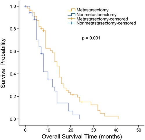 Figure 1 Kaplan–Meier analysis of overall survival in patients with synchronous Krukenberg tumors who did or did not undergo metastasectomy.
