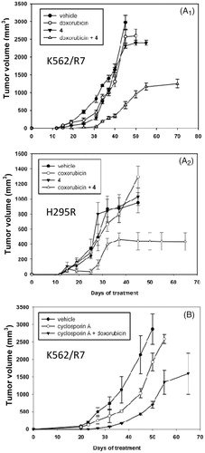 Figure 2. In vivo effect of co-treatment with doxorubicin + steroid modulator 4 or cyclosporin A on tumour volume of K562/R7 cell xenografts (panel A1) and H295R cell xenografts (panel A2). In vivo effect of co-treatment with doxorubicin + cyclosporine A on tumour volume of K562/R7 cell xenografts (panel B). Vehicle, doxorubicin, modulator 4 and doxorubicin + modulator 4 or cyclosporin A were administered ip. every 4 days during one month to groups of 6 mice as described in SI (Experimental Section). Results are expressed as mean ± SE.