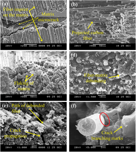 Figure 9. (a-f) Scanning electron micrographs of tensile tested 6BN-CFEC.