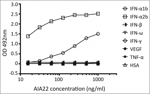 Figure 1. Binding activity of AIA22 to different antigens. All the antigens were coated at 5 μg/ml. The optical density (OD) at 492 nm reduced in a dose-dependent manner with decreasing amounts of AIA22 when binding to IFN-α1b and IFN-α2b. No cross-reactivity was observed when AIA22 was incubated with other type I IFN (IFN-β, IFN-ω), type II IFN (IFN-γ), cytokines (VEGF, TNF), and human serum albumin (HSA).