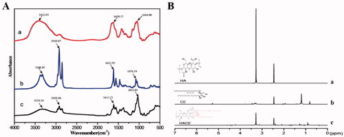 Figure 1. Ceramide modified by hyaluronic acid was characterized via Fourier transform infrared spectroscopy (FTIR) and nuclear magnetic resonance hydrogen spectroscopy (1H NMR); both proved the successful grafting of hyaluronic acid to ceramide. (A) FTIR and (B) 1H NMR.