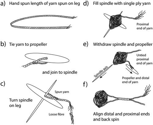 Figure 5. Process of spindle spinning: (a) lead end hand spun; (b) lead end tied to propeller; (c) small pieces of fibre continually added as the spindle is spun; (d) spindle full of single ply; (e) axis of the spindle withdrawn and propeller removed; and (f) proximal and distal ends of the yarn are replaced on the spindle and back spun.