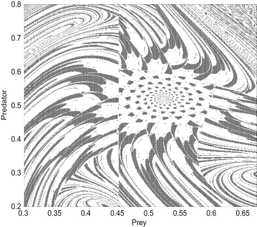 Figure 11. Basin of attraction of two attractors shown in Fig. 10 with H∈[0.3,0.67] and P∈[0.2,0.8]. The white and black points are attracted to the attractors shown in Figure 10 from left to right.