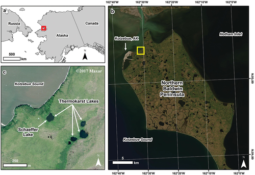Figure 2. The northwestern Arctic region of Alaska where the thermokarst lake drained on 29 June 2022. (a) An inset map showing the location of the northern part of the Baldwin Peninsula (red box). (b) A Landsat satellite image showing the northern Baldwin Peninsula and the location of the drained thermokarst lake (yellow box). (c) A Worldview-2 satellite image from 20 July 2017 showing a series of small thermokarst lakes that have formed in ice-rich permafrost. Schaeffer Lake is the lake that drained on 29 June 2022. ©2023 Maxar.